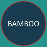 Bamboo