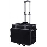 Draagtassen en Trolley's