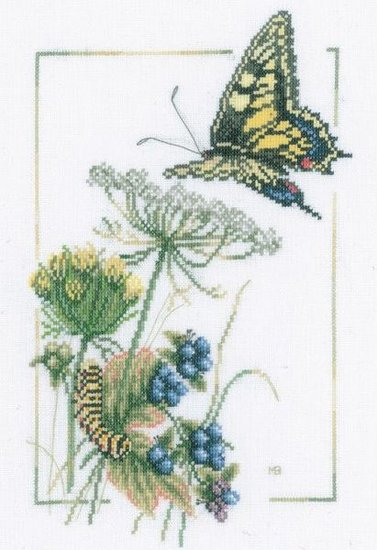 Lanarte Blueberry Butterfly