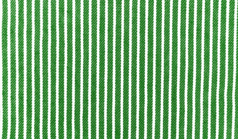 Jeans - Yarn Dyed Stripes - Groen