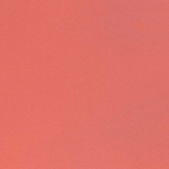 Jersey - Uni - Koraalrood
