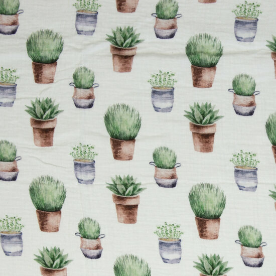 Tetra - Planten - Wit