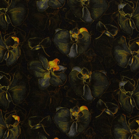 Punta Di Roma - Bloemen - Zwart
