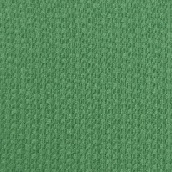 Viscose Jersey - Uni - Groen