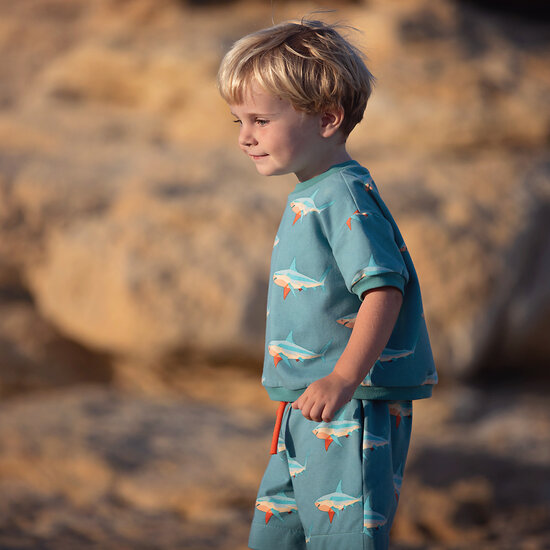 French Terry - Sharks - Stoffig Turquoise (SYAS)