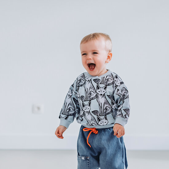 French Terry - Renard Nouveau - Babyblauw