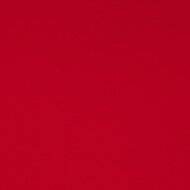 Punta Di Roma Uni Rood