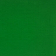 Jersey - Uni - Groen