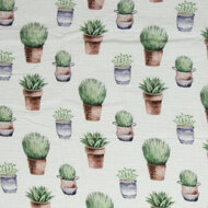 Tetra - Planten - Wit
