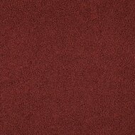 Teddy - Uni - Rouge