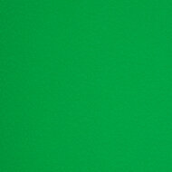 Jersey - Gestikte Luipaard - Groen