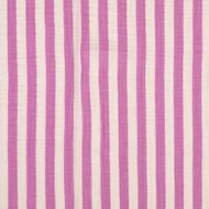 Tetra - Strepen - purper