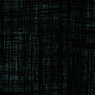 French Terry - Wild Doodles - Zwart-Petrol
