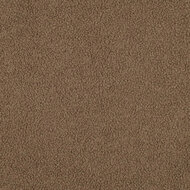 Teddy - Uni - Taupe