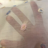 Voile - Pop Up Flowers - Ecru