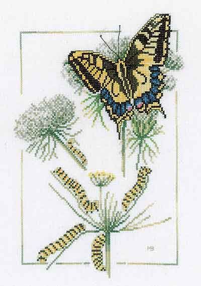 Lanarte From Caterpillar to Butterfly