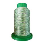 Amann Isacord multi nr.40 1000m - 9805 Amann Isacord multi nr.40 1000m - 9805
