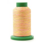 Amann Isacord multi nr.40 1000m - 9914 Amann Isacord multi nr.40 1000m - 9914