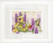 Lanarte Butterfly Bush and Echinacea Lanarte Butterfly Bush and Echinacea