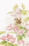 Lanarte Pink Flowers with a Little Bird Lanarte Pink Flowers with a Little Bird