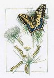 Lanarte From Caterpillar to Butterfly Lanarte From Caterpillar to Butterfly