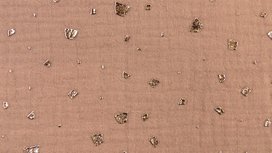 Tetra - Flake Drops Goudfoil - Roze Tetra - Flake Drops Goudfoil - Roze
