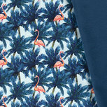 Softshell - Flamingo - Petrol Softshell - Flamingo - Petrol