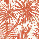 Crepe - Planten - Brique Crepe - Planten - Brique