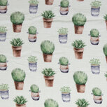 Tetra - Planten - Wit Tetra - Planten - Wit
