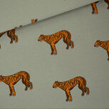 French Terry - Tigers - Zeegras Groen (SYAS) French Terry - Tigers - Zeegras Groen (SYAS)