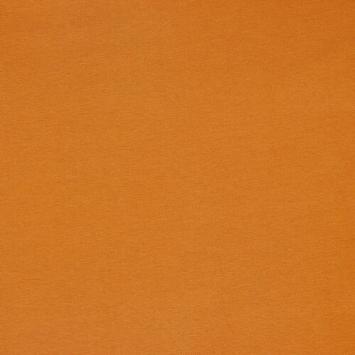 Coupon 0.50m - Jersey - Uni - Amber Coupon 0.50m - Jersey - Uni - Amber