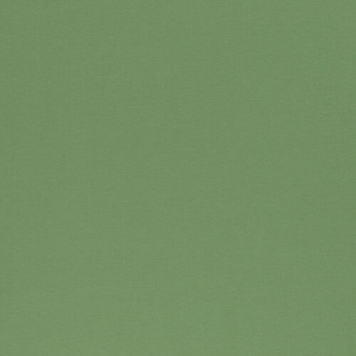 French Terry - Uni - Oudgroen French Terry - Uni - Oudgroen