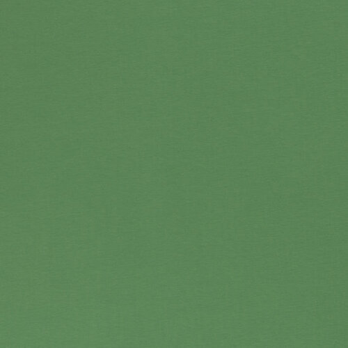 Jersey - Uni - Oudgroen