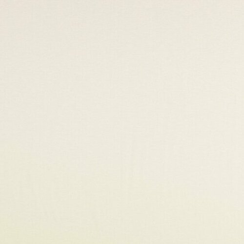 Viscose Jersey - Uni - Ecru Viscose Jersey - Uni - Ecru