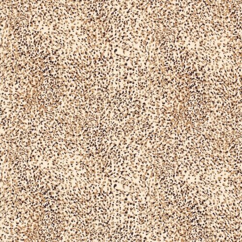 Crepe - Vlekken - Beige