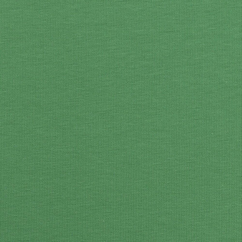 Viscose Jersey - Uni - Groen Viscose Jersey - Uni - Groen